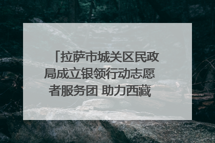 拉萨市城关区民政局成立银领行动志愿者服务团 助力西藏银发经济发展