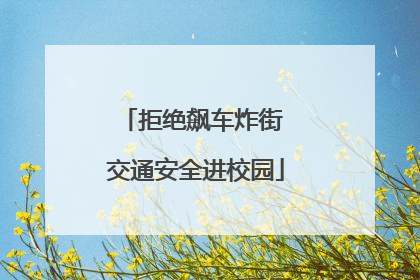 拒绝飙车炸街 交通安全进校园