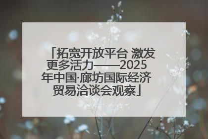 拓宽开放平台 激发更多活力——2025年中国·廊坊国际经济贸易洽谈会观察