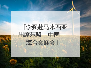 李强赴马来西亚出席东盟—中国—海合会峰会
