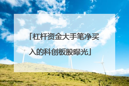杠杆资金大手笔净买入的科创板股曝光
