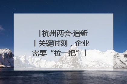 杭州两会·追新丨关键时刻，企业需要“拉一把”