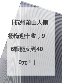杭州萧山大棚杨梅迎丰收，96颗能卖到400元！