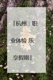 杭州：职业体验 乐享假期