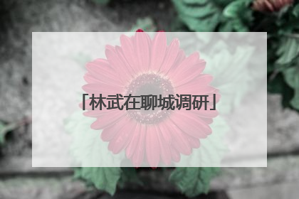 林武在聊城调研