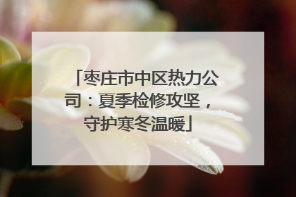 枣庄市中区热力公司：夏季检修攻坚，守护寒冬温暖