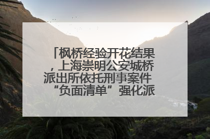 枫桥经验开花结果，上海崇明公安城桥派出所依托刑事案件“负面清单”强化派出所“主防”
