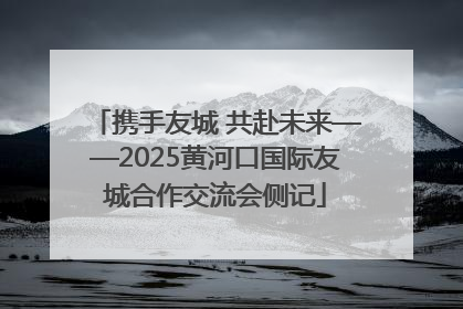 携手友城 共赴未来——2025黄河口国际友城合作交流会侧记