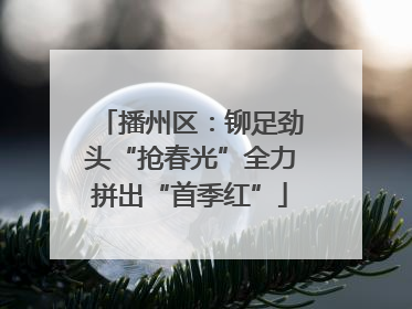 播州区：铆足劲头“抢春光”全力拼出“首季红”