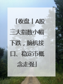 收盘丨A股三大指数小幅下跌，脑机接口、稳定币概念走强