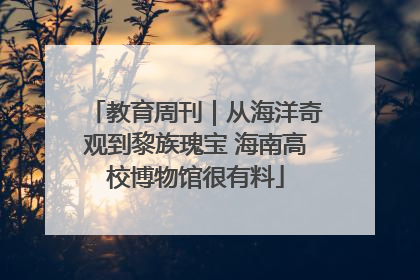 教育周刊｜从海洋奇观到黎族瑰宝 海南高校博物馆很有料