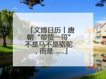 文博日历丨唐朝“带货一哥”不是马不是骆驼，而是……