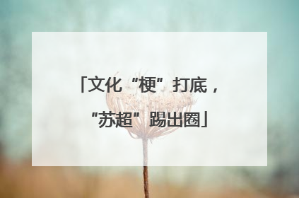 文化“梗”打底，“苏超”踢出圈