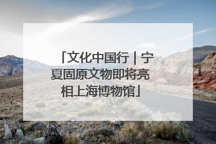 文化中国行｜宁夏固原文物即将亮相上海博物馆