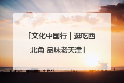 文化中国行｜逛吃西北角 品味老天津