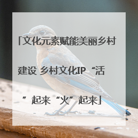 文化元素赋能美丽乡村建设 乡村文化IP“活”起来“火”起来