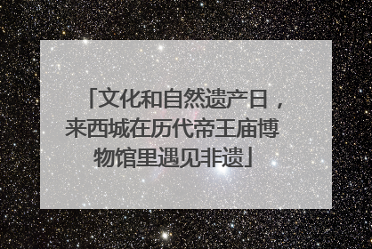 文化和自然遗产日，来西城在历代帝王庙博物馆里遇见非遗