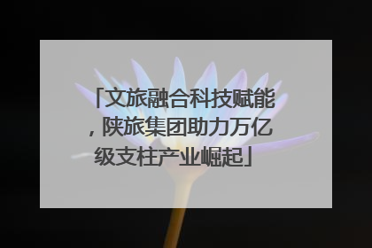 文旅融合科技赋能，陕旅集团助力万亿级支柱产业崛起