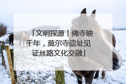 文明探源丨佛寺映千年，莫尔寺遗址见证丝路文化交融
