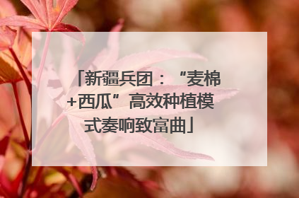 新疆兵团：“麦棉+西瓜”高效种植模式奏响致富曲