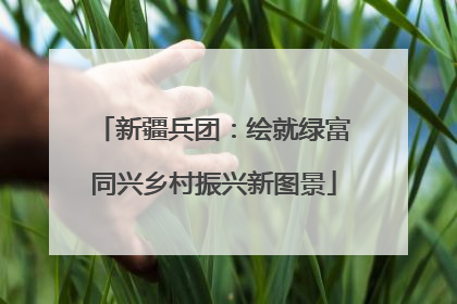 新疆兵团：绘就绿富同兴乡村振兴新图景