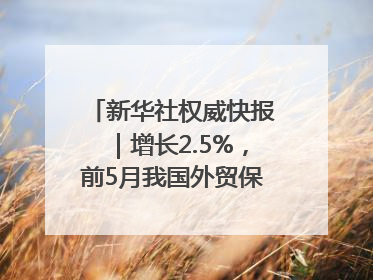 新华社权威快报｜增长2.5%，前5月我国外贸保持较强韧性