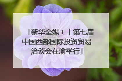 新华全媒＋丨第七届中国西部国际投资贸易洽谈会在渝举行