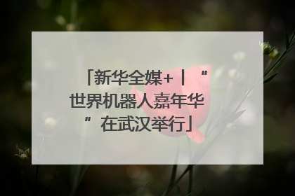 新华全媒+丨“世界机器人嘉年华”在武汉举行