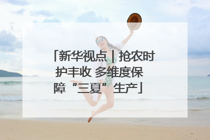 新华视点｜抢农时 护丰收 多维度保障“三夏”生产