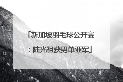 新加坡羽毛球公开赛：陆光祖获男单亚军