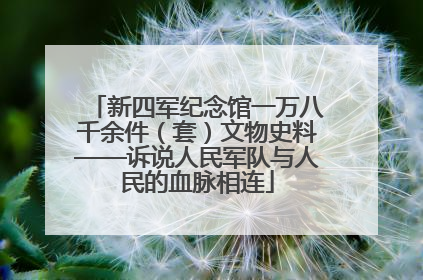 新四军纪念馆一万八千余件（套）文物史料——诉说人民军队与人民的血脉相连