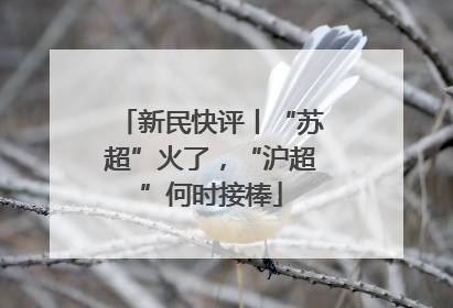新民快评丨“苏超”火了，“沪超”何时接棒