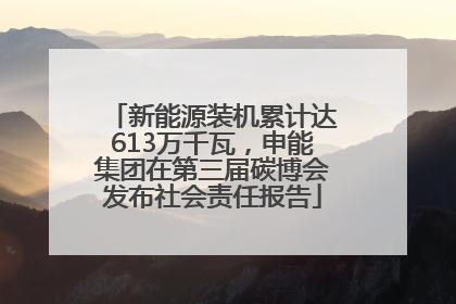 新能源装机累计达613万千瓦，申能集团在第三届碳博会发布社会责任报告