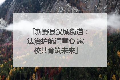 新野县汉城街道：法治护航润童心 家校共育筑未来