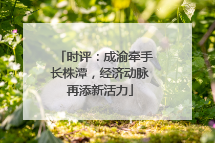 时评：成渝牵手长株潭，经济动脉再添新活力
