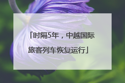 时隔5年，中越国际旅客列车恢复运行