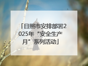 日照市安排部署2025年“安全生产月”系列活动