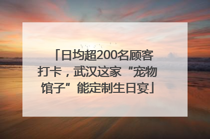 日均超200名顾客打卡，武汉这家“宠物馆子”能定制生日宴