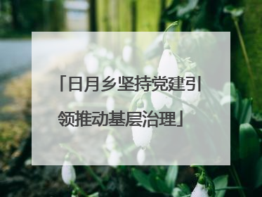 日月乡坚持党建引领推动基层治理