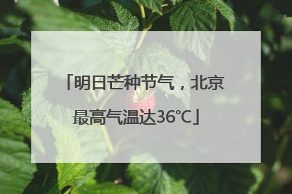 明日芒种节气，北京最高气温达36℃