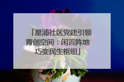 星浦社区党建引领青创空间：闲置阵地巧变民生枢纽