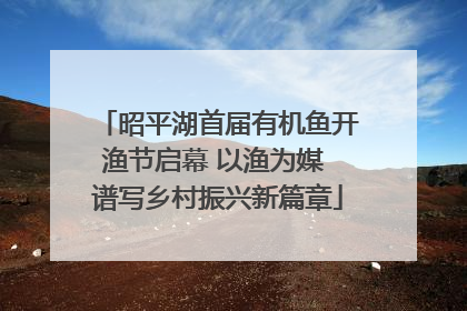 昭平湖首届有机鱼开渔节启幕 以渔为媒 谱写乡村振兴新篇章
