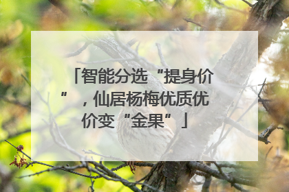 智能分选“提身价”，仙居杨梅优质优价变“金果”