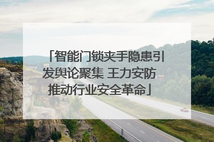 智能门锁夹手隐患引发舆论聚集 王力安防推动行业安全革命