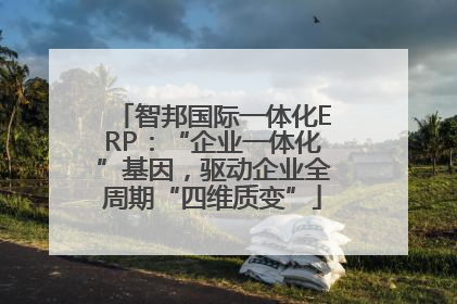 智邦国际一体化ERP：“企业一体化”基因，驱动企业全周期“四维质变”