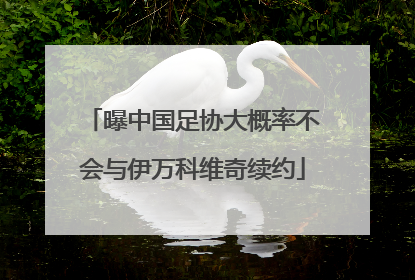曝中国足协大概率不会与伊万科维奇续约