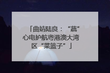 曲靖陆良：“蔬”心电护航粤港澳大湾区“菜篮子”