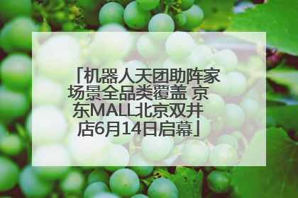 机器人天团助阵家场景全品类覆盖 京东MALL北京双井店6月14日启幕