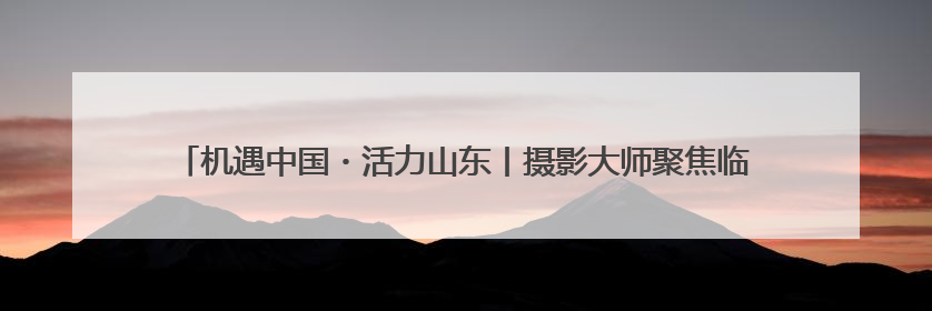 机遇中国・活力山东丨摄影大师聚焦临沂新明辉商城，展现商贸物流新风貌