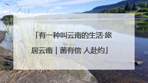 有一种叫云南的生活·旅居云南｜菌有信 人赴约